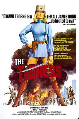 瑰丽酒店的网站优化